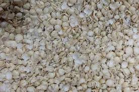 Soya Husk